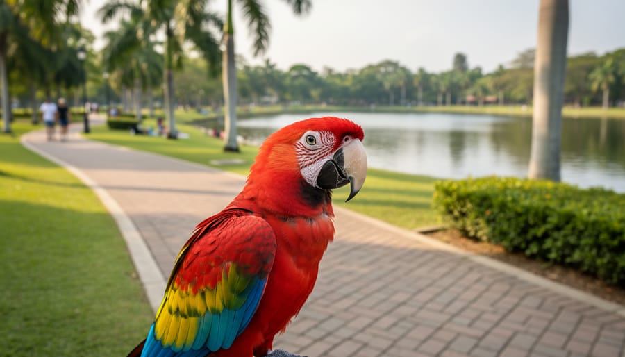 Exotic parrot perched near a lakeside path at Parrot Island