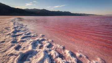 Bubblegum-pink shallow water and salt crust along a remote Great Salt Lake shoreline at golden hour with desert mountains in the distance.